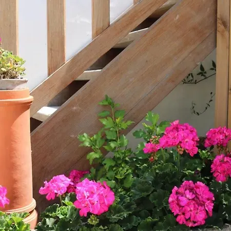 Beau T3 *** Pour 2 à 4 Pers Avec Patio Privatif * La Couarde-sur-Mer