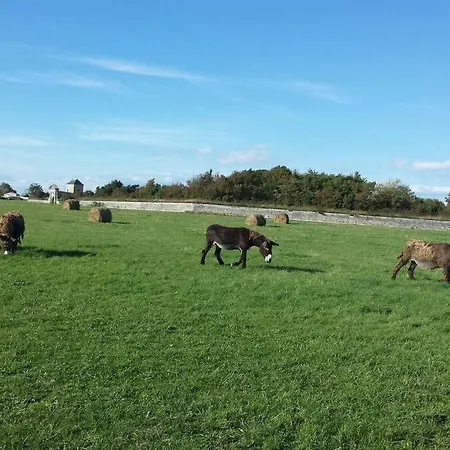 Beau T3 *** Pour 2 A 4 Pers Avec Patio Privatif *