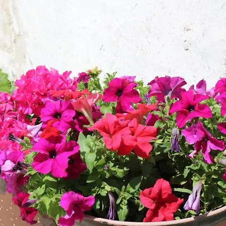 Beau T3 *** Pour 2 A 4 Pers Avec Patio Privatif *