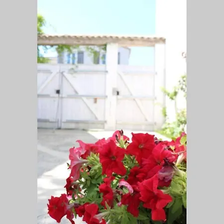 Beau T3 *** Pour 2 A 4 Pers Avec Patio Privatif * La Couarde-sur-Mer