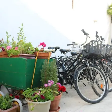 Beau T3 *** Pour 2 A 4 Pers Avec Patio Privatif Apartament *